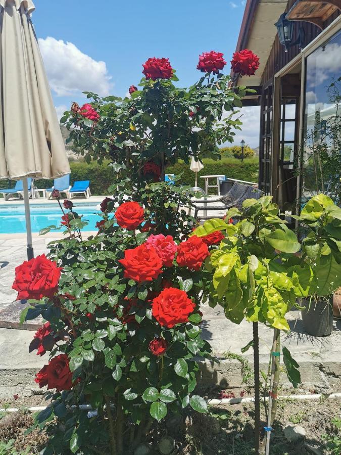פיסורי Ampelokipi Holiday Apartments מראה חיצוני תמונה