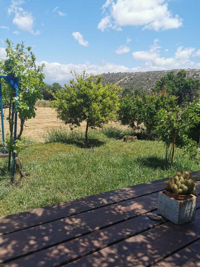 פיסורי Ampelokipi Holiday Apartments מראה חיצוני תמונה